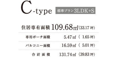 Cタイプ