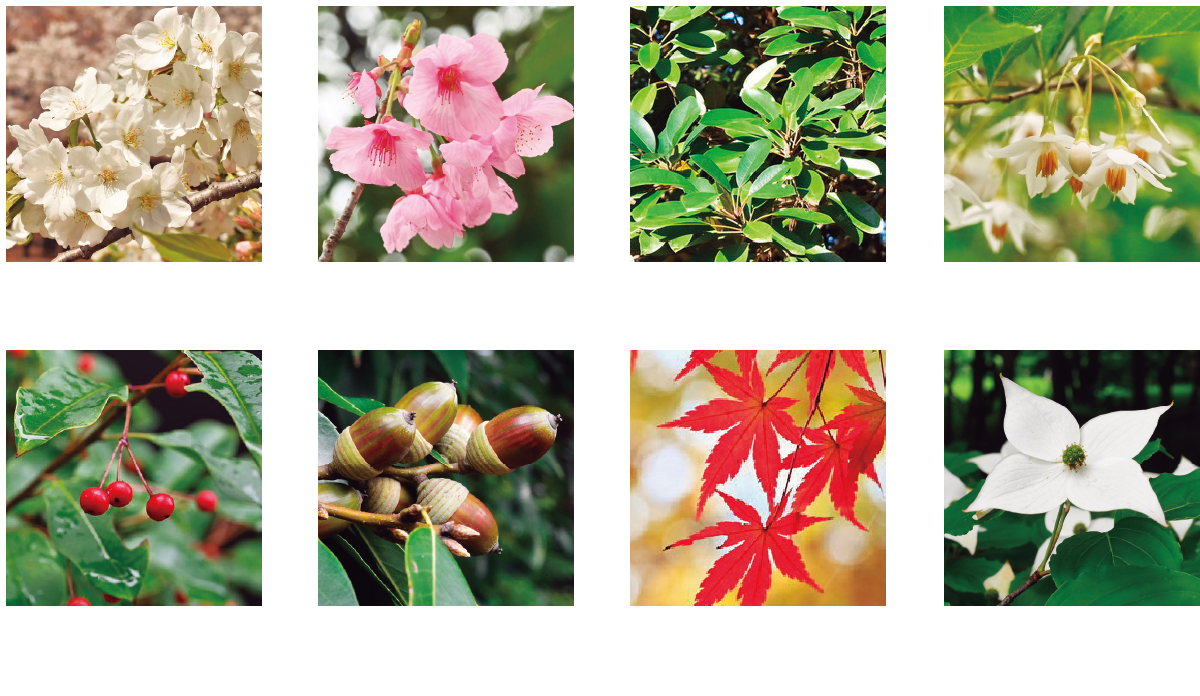 グリーンコートの植栽計画